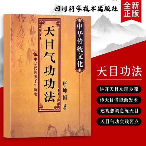 全新正版天目气功功法不止讲理论更教你按阶段选解身心难题的实操指南能量协同提升基础全书实践