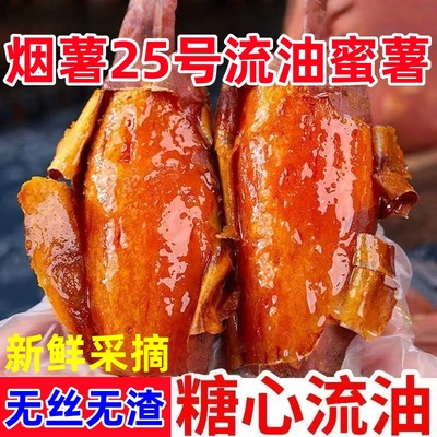 烟薯25号现挖甜蜜流油