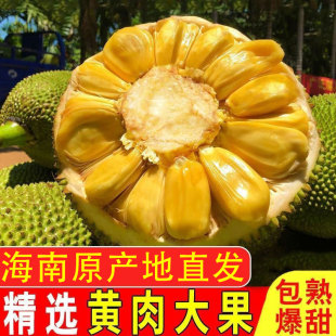 海南黄肉菠萝蜜新鲜水果木波萝一整个包邮10-30斤大果热带香蕉