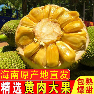 海南黄肉菠萝蜜新鲜水果木波萝一整个包邮10-30斤大果热带香蕉