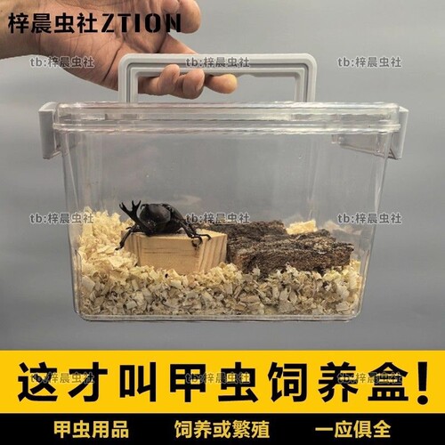 甲虫饲养箱专业爬虫箱透明饲养盒