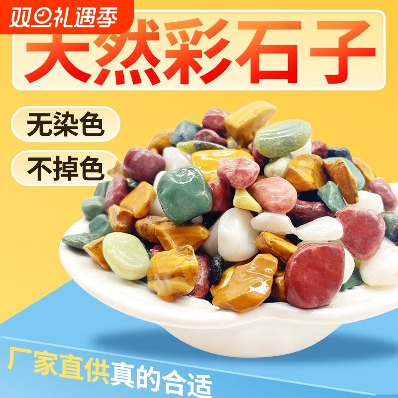 天然五彩石雨花石鱼缸造铺底盆栽水培多肉植物铺面装饰小石头