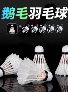 羽毛球鹅毛12只装/6耐打王白色黑色训练专业比赛耐打球夜光尼龙