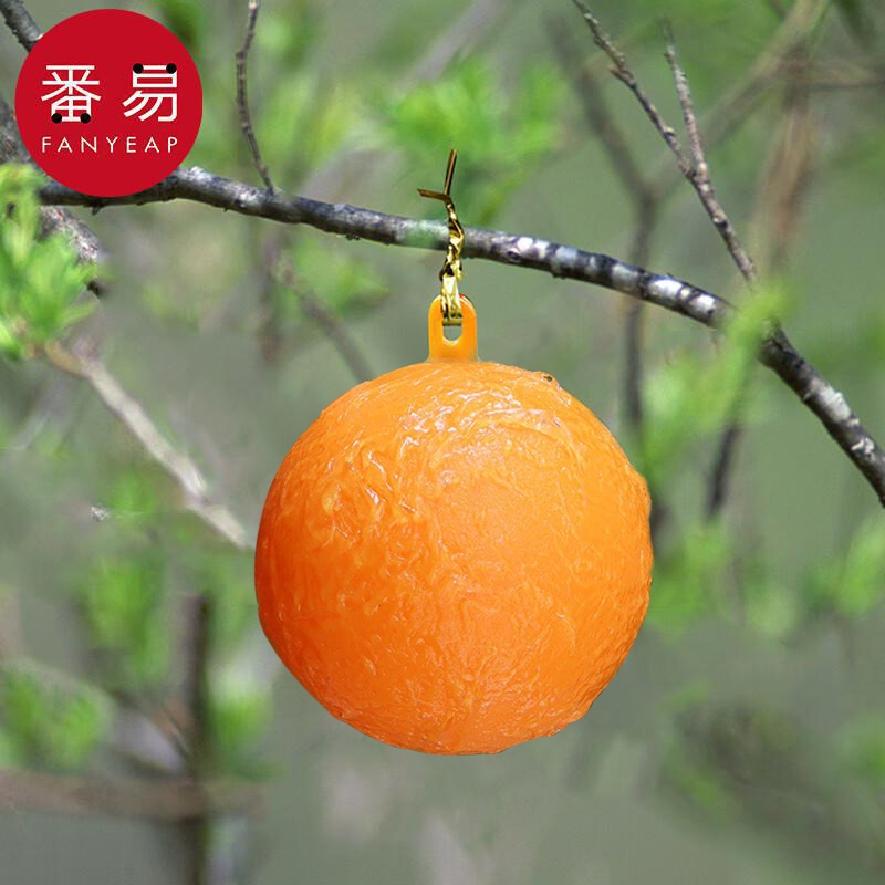 粘虫球/诱蝇B1pf0-果蝇诱捕器小飞虫球灭杀诱苍蝇厨房室内诱虫