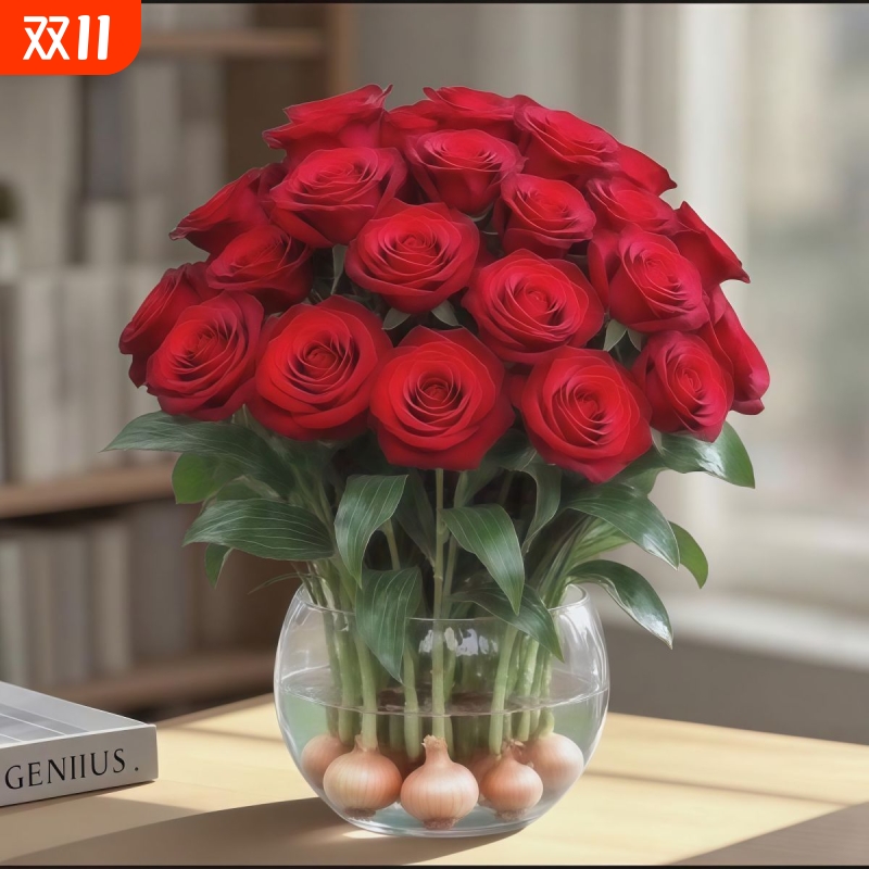 水培玫瑰花球大花浓香室