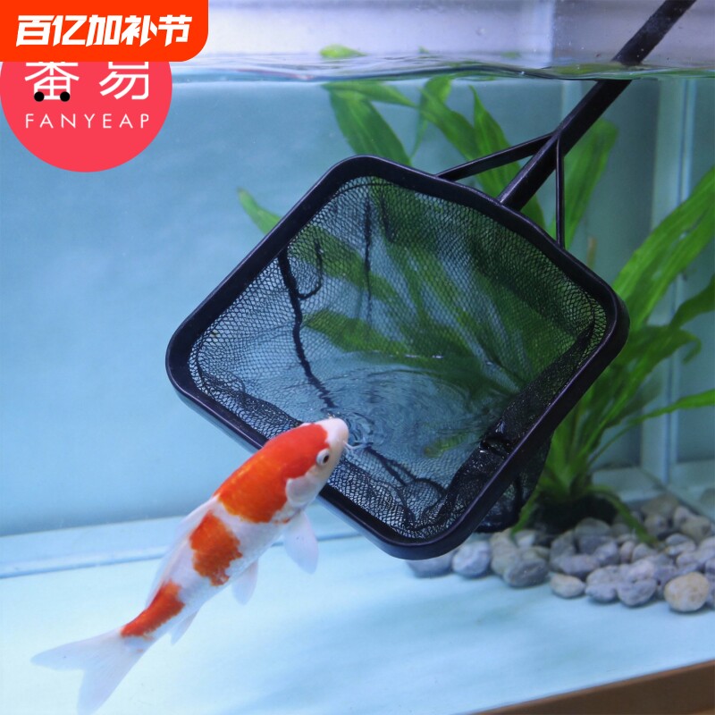 渔捞/小C1pl200-鱼缸捞鱼网兜金鱼观赏鱼渔网捞鱼缸家用捞鱼