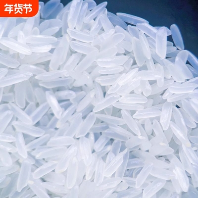 2025年当季新米猫牙香米长粒香米油粘大米丝苗米5kg10kg年货新鲜