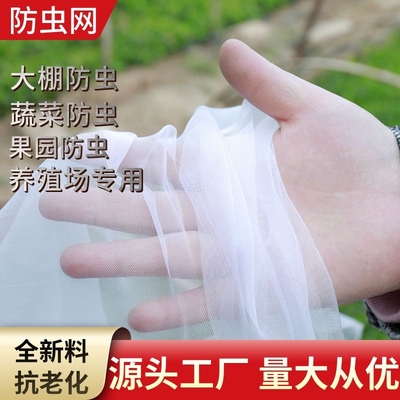 大棚防虫网种菜菜园草莓园农用蔬菜种植防虫防果蝇网纱网菜地围网