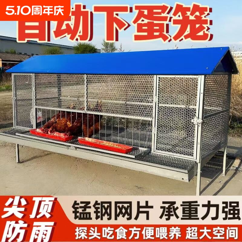 鸡笼子家用室外防雨自动收蛋防啄防黄鼠防鼠加厚不锈下蛋养殖笼