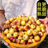 正宗大荔冬枣新鲜应季水果5斤【净重4.5斤】下拉点淘金币补贴17元包邮