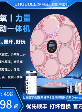 舒搏乐X6家用智能音乐拳击墙靶儿童小孩专注力成人解压运动训练器