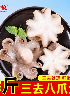三去章鱼八爪鱼鲜活速冻捞汁海鲜