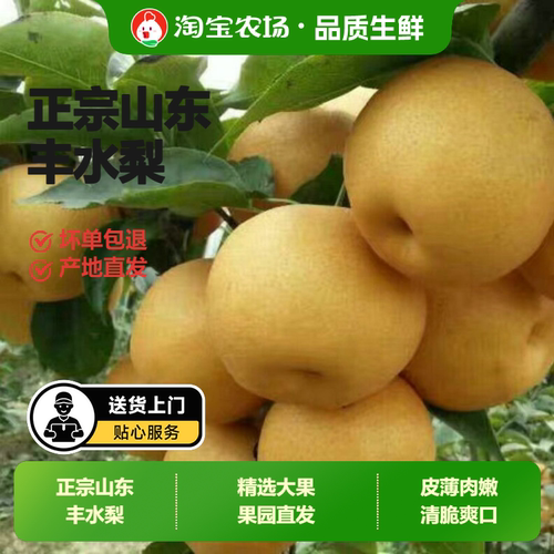 山东丰水梨当季新鲜现摘直发果肉清甜多汁老人都爱吃鲜果精选农场