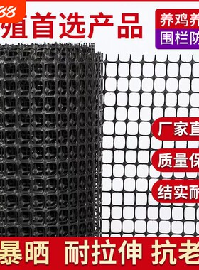 塑料围栏网养殖菜园栅栏