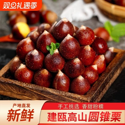 建瓯新鲜锥栗高山现摘现发