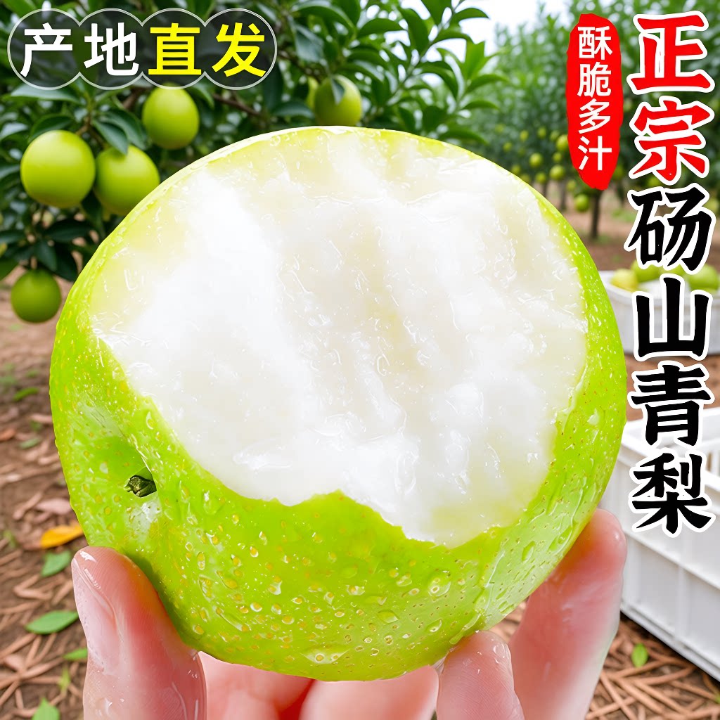 安徽砀山翠冠梨当季新鲜水果包邮图片