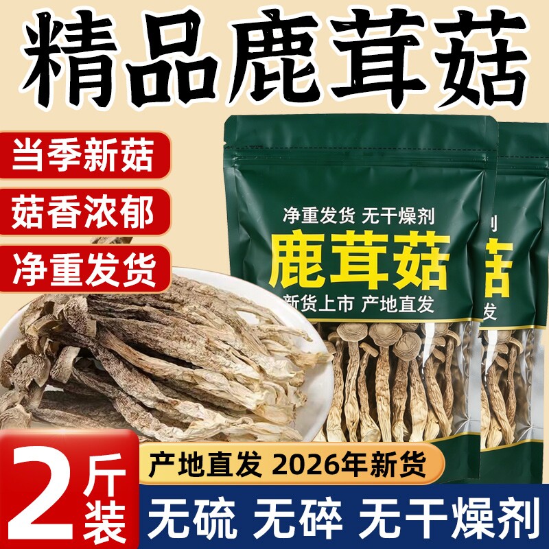 古田鹿茸菇正品官方旗舰店干货特级鹿茸菌500g批发煲汤新鲜蘑菇