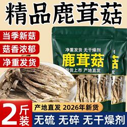 古田鹿茸菇正品官方旗舰店干货特级鹿茸菌500g批发煲汤新鲜蘑菇