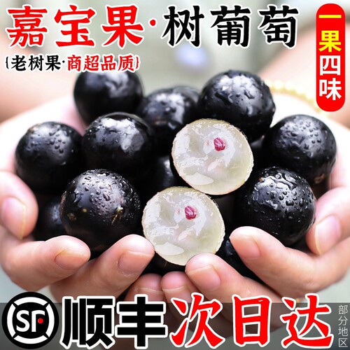 【顺丰速达】嘉宝果大果新鲜水果