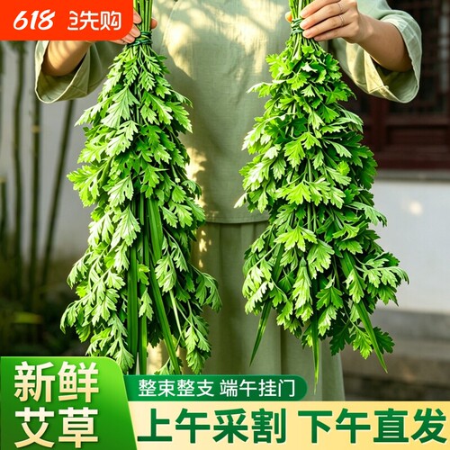 艾草新鲜门挂端午节整颗艾草花束