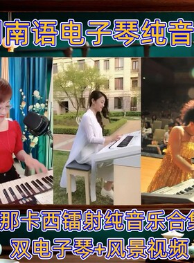 闽南那卡西浪漫电子琴高音质u盘双电子琴纯音乐车载U盘TF卡内存卡