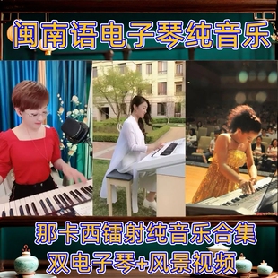 闽南那卡西浪漫电子琴高音质u盘双电子琴纯音乐车载U盘TF卡内存卡