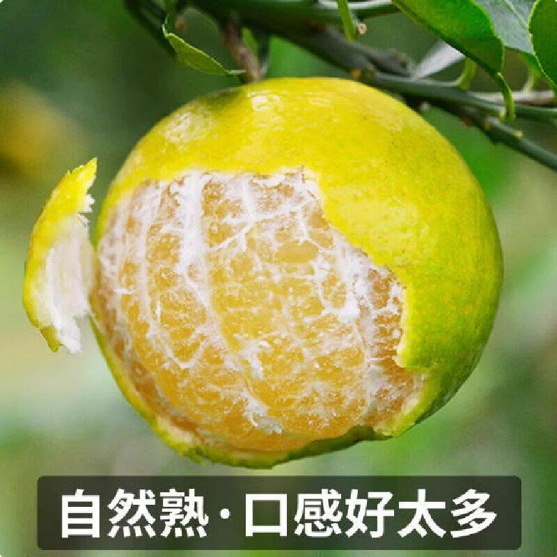 广西皇帝柑新鲜水果斤整箱蜜桔橘子贡柑糖桔子现货特当季新鲜水果,水产肉类/新鲜蔬果/熟食,桔子,淘宝优惠券,粉丝福利购,淘宝优惠卷