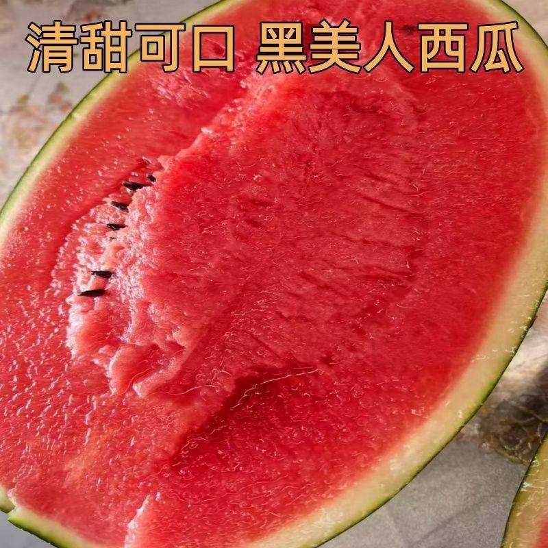 越南黑美人西瓜精品多汁新鲜水果沙瓤脆甜当季水果气柱保温箱防护,水产肉类/新鲜蔬果/熟食,西瓜,淘宝优惠券,粉丝福利购,淘宝优惠卷