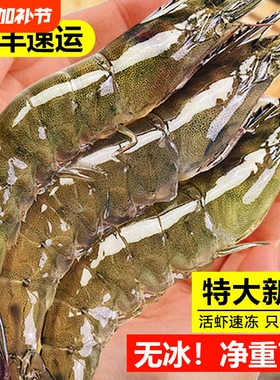 大虾鲜活冷冻特大号速冻青岛海鲜生鲜冻虾白虾王牌新鲜水产基围虾
