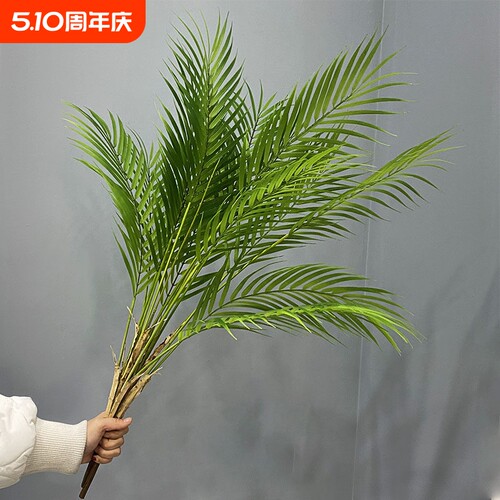 仿真塑料棕榈树热带椰子树叶 室内装饰绿植摆设