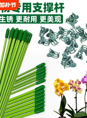 植物固定绿色支撑杆兰花插花蝴蝶兰金钱树绿植花卉盆栽防倒伏扶杆