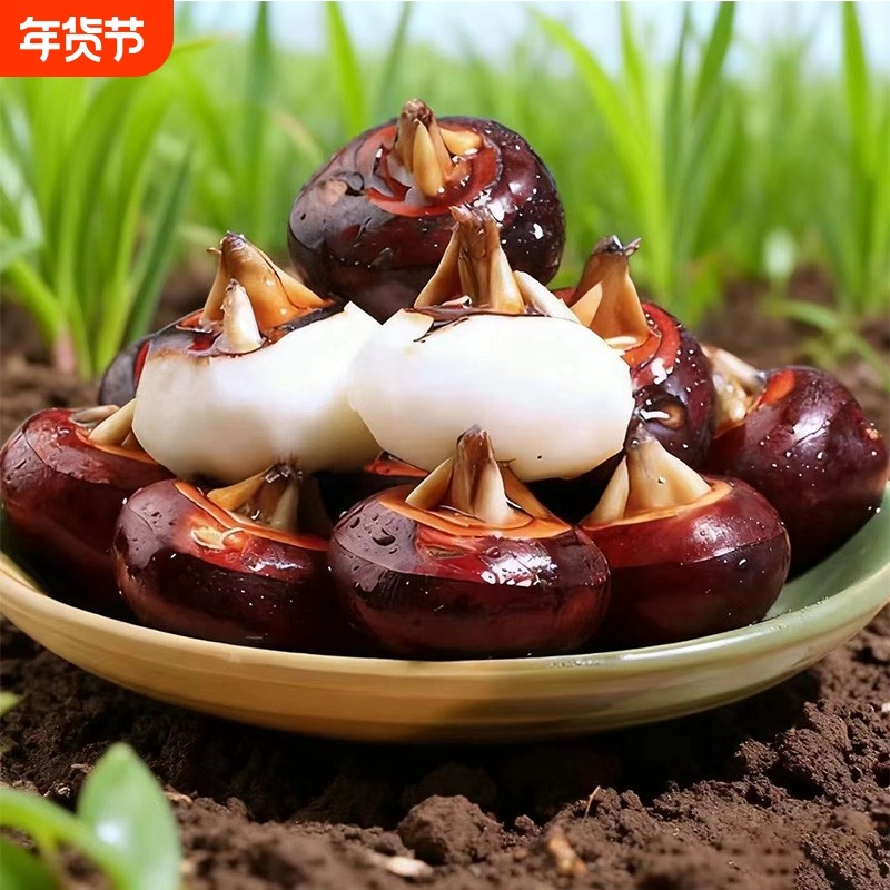 新鲜马蹄5斤荸荠应当季水果蔬菜现挖马蹄莲脆地栗梨饽荠带泥发货,水产肉类/新鲜蔬果/熟食,荸荠/马蹄,淘宝优惠券,粉丝福利购,淘宝优惠卷