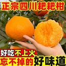 【单果70以上】四川春见耙耙柑净重4.5斤