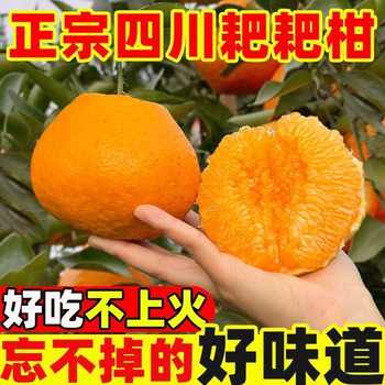 正宗眉山春见耙耙柑橘子新鲜水果儿童孕妇当季水果橘子甜蜜多汁实付14.9元到手包邮