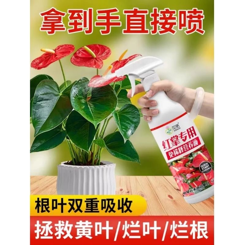 红掌专用营养液免稀释水培开花肥红掌专用肥白掌肥料液体叶面肥