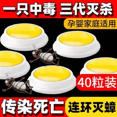 猫邻蟑螂饵剂一窝端蟑螂药
