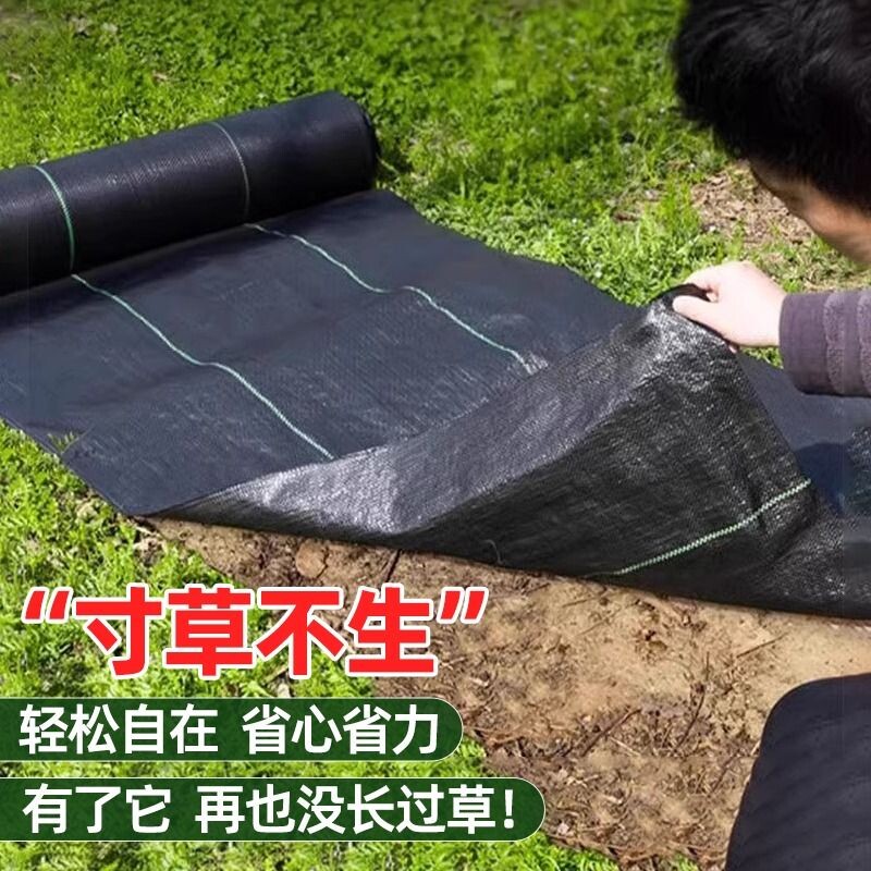 果树防草布抗老化耐用透水透气图片