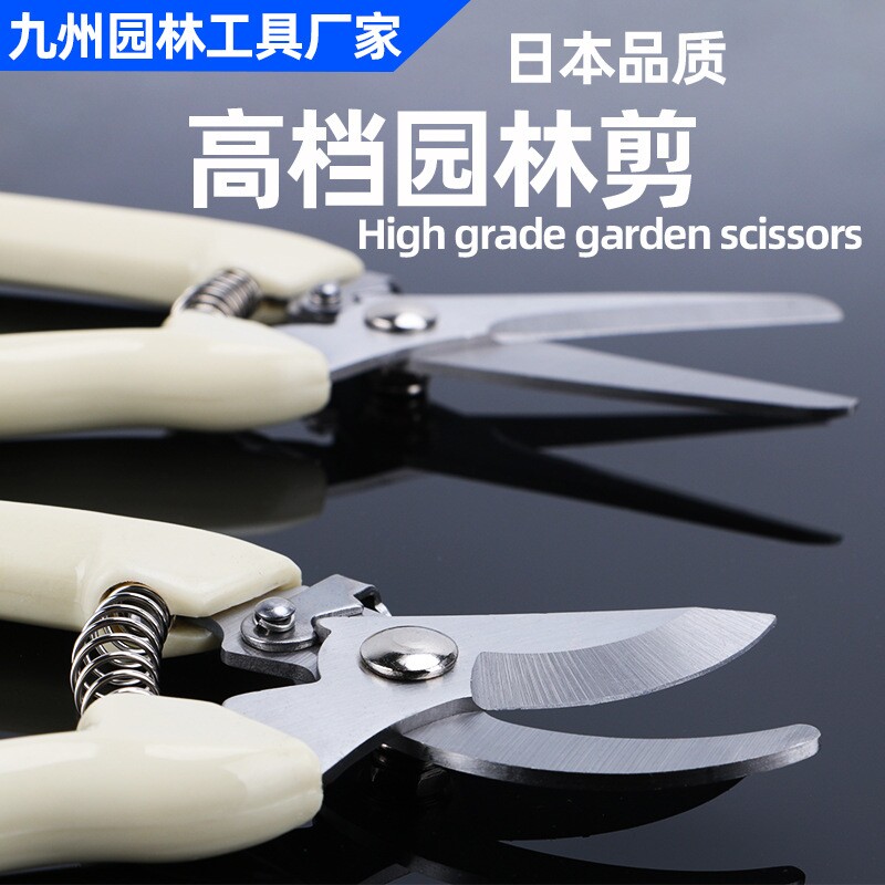 剪枝修枝园林剪刀园艺剪果树摘果花艺盆景果枝工具剪修剪枝条