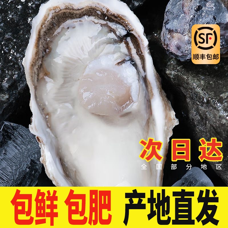 【鲜活生蚝批发】新鲜特大海蛎子5斤带箱牡蛎水商用整箱批发