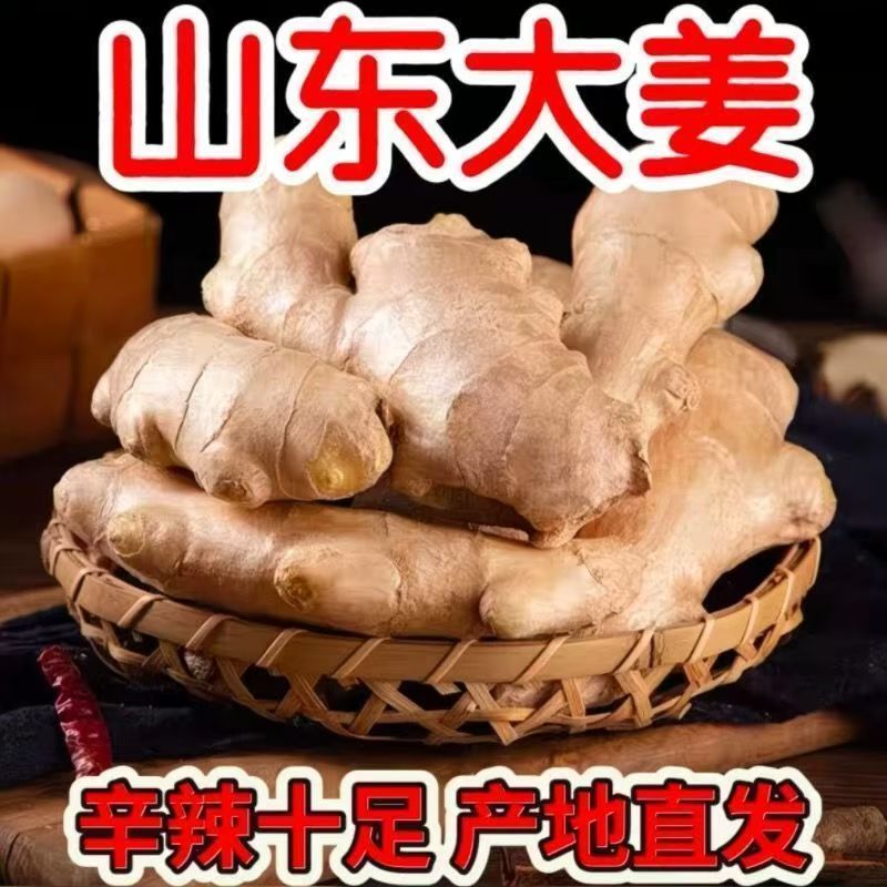 山东水洗风干大姜无泥土老姜新鲜生姜巴蔬菜姜撞奶十足辛辣直发