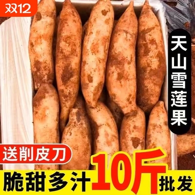 云南天山雪莲果红心新鲜特级一级清热去火当季水果孕妇连脆甜多汁