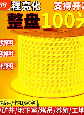 整卷100米超亮LED灯带家装户外工程亮化吊顶户外防雨暖光白光装饰