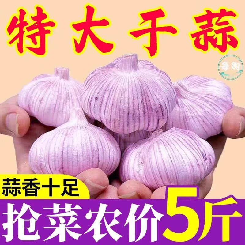 山东金乡大蒜新鲜3斤/5斤紫白皮干大蒜特大果农家自种优质调味料,水产肉类/新鲜蔬果/熟食,大蒜,淘宝优惠券,粉丝福利购,淘宝优惠卷