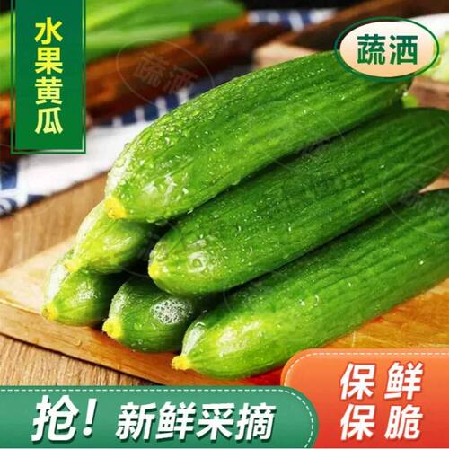 新鲜水果小黄瓜脆嫩水果黄瓜时令果蔬现摘应季蔬菜当日瓜果精选