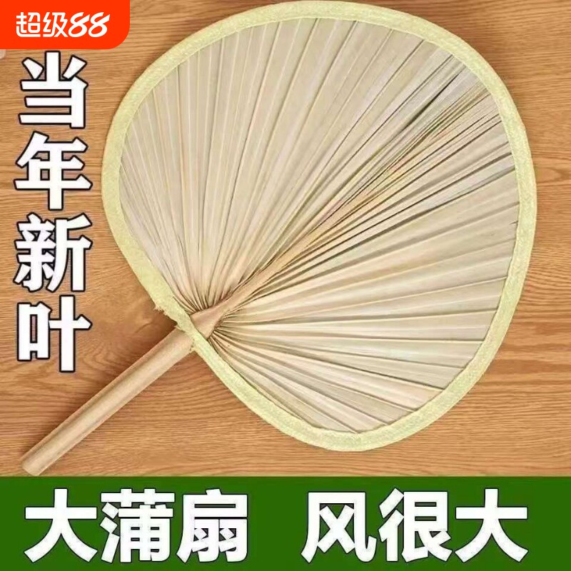 扇子特级纳凉大蒲扇济公扇老式手工大蒲扇1把图片
