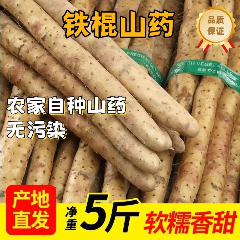 正宗现挖整箱铁棍山药新鲜蔬菜即食垆土5斤农家自种怀山药长山药