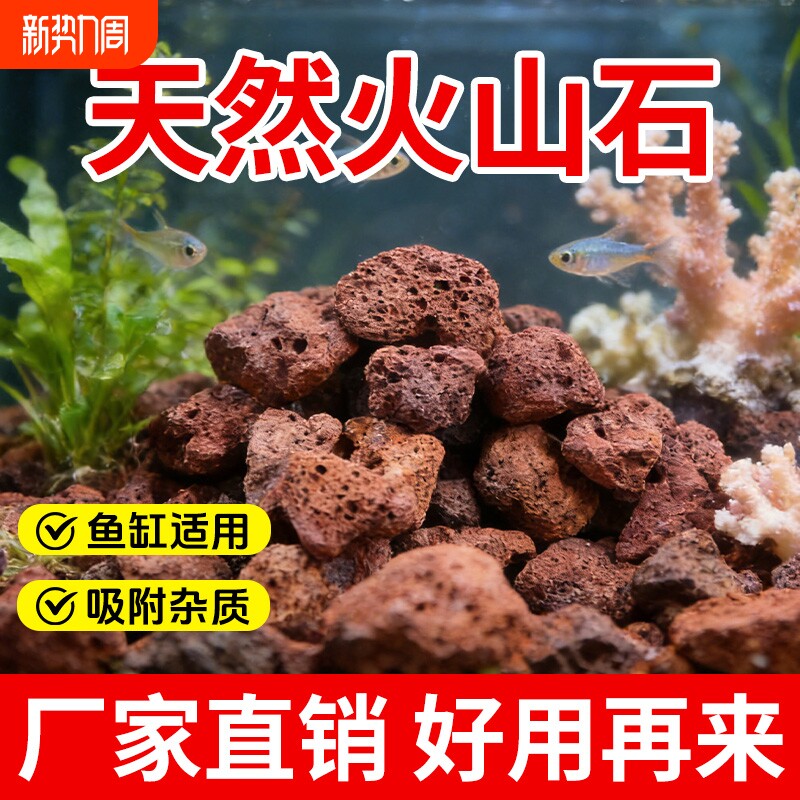 火山石鱼缸专用水族生态造景大块火山岩颗粒古法养鱼过滤材垫底砂