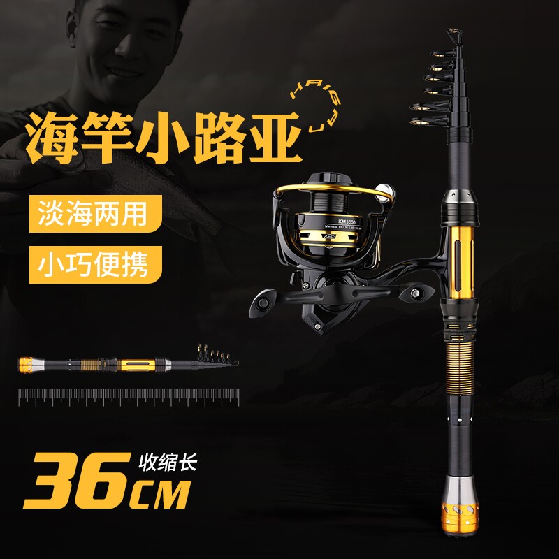 路亚杆小海杆收缩36cm短节竿溪流竿滑漂竿远投竿手海竿淡海两用竿