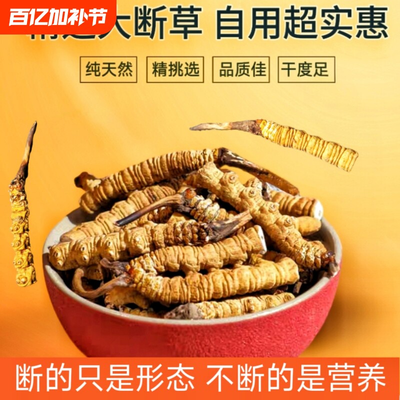 藏区直发冬虫夏草正品断草西藏冬虫夏草滋补官方旗舰店正宗顺丰