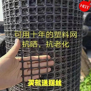 养鸡塑料围栏网拦鸡网网格家用玉米养殖网鱼塘防护网围栏栅栏户外